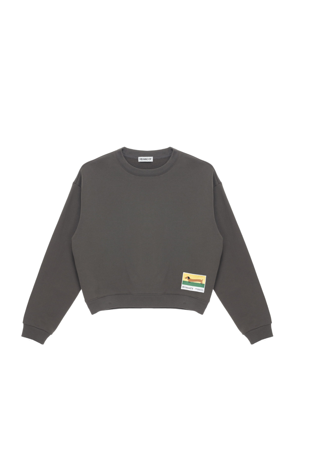 Minimalist Oversized Sweatshirt TMO25AWSW01DGY