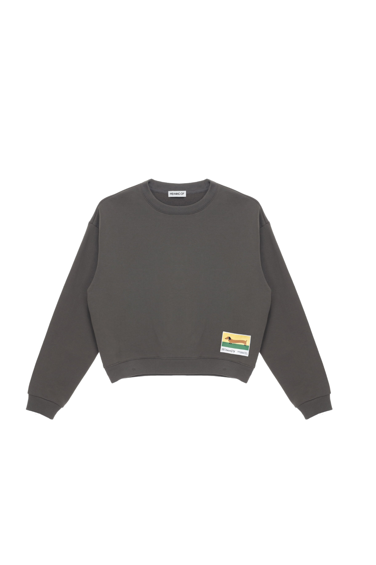 Minimalist Oversized Sweatshirt TMO25AWSW01DGY