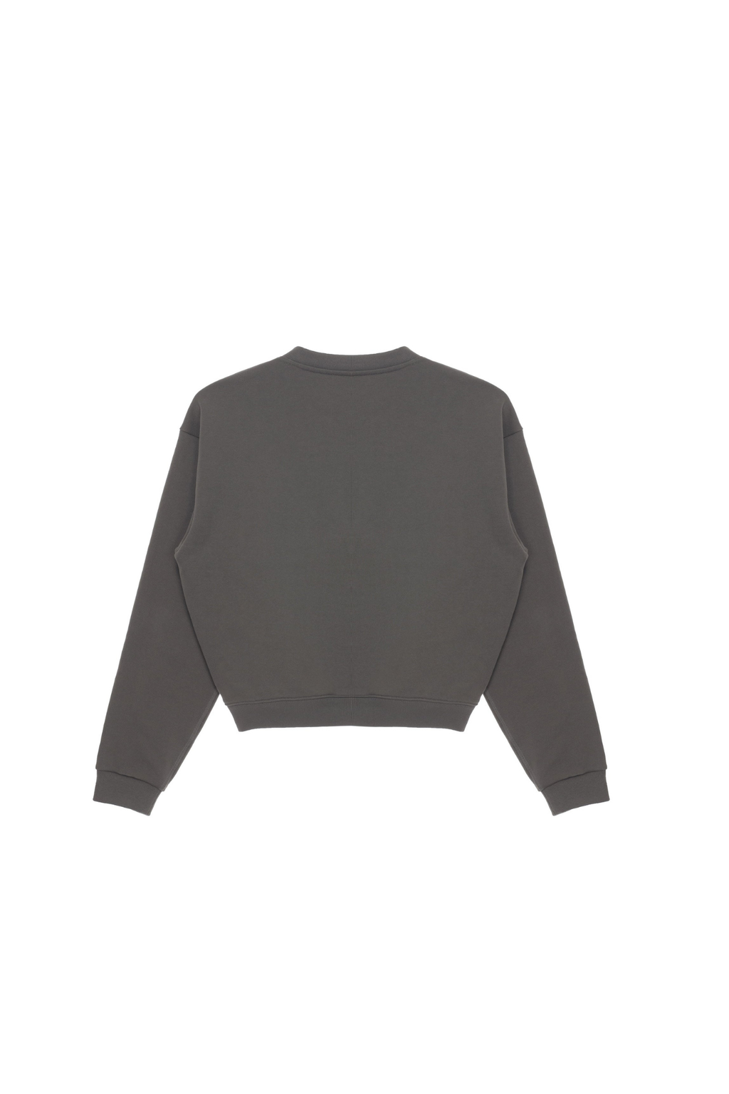 Minimalist Oversized Sweatshirt TMO25AWSW01DGY