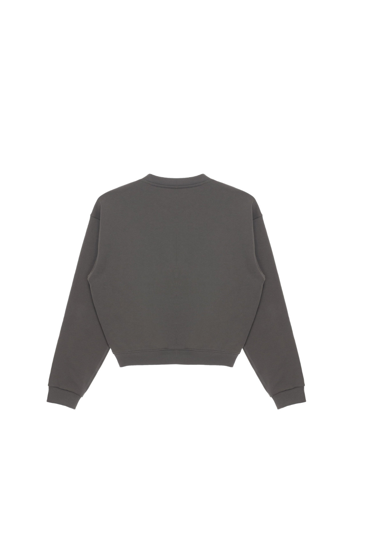 Minimalist Oversized Sweatshirt TMO25AWSW01DGY
